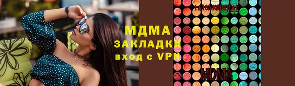 шишки Бородино