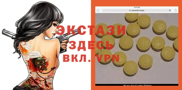 шишки Бородино