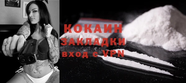 шишки Бородино