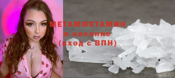 шишки Бородино