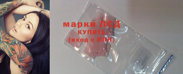 шишки Бородино