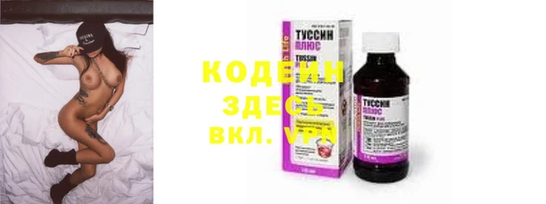 шишки Бородино