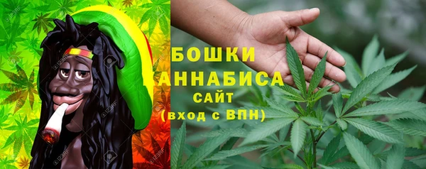 шишки Бородино
