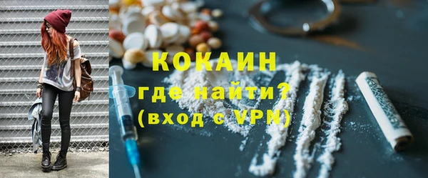 шишки Бородино