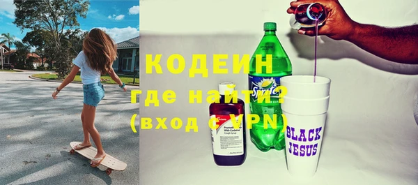 шишки Бородино