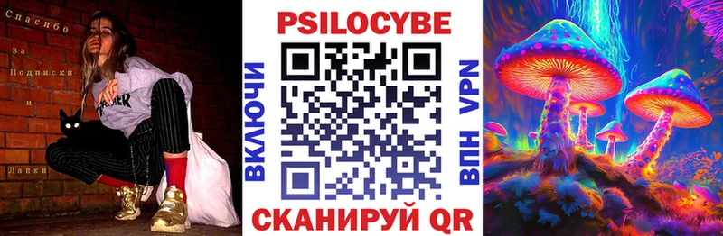 закладка Новопавловск Галлюциногенные грибы Cubensis